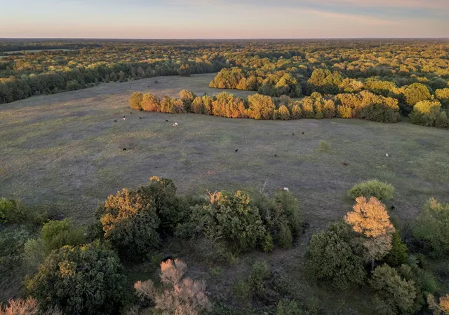Land for sale at Tbd Rs County Rd 4310, Point, TX 75472 | MLS# 21405478