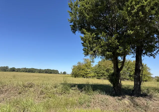 Land for sale at Lot 8 County Rd 2922, Eustace, TX 75124 | MLS# 21405617