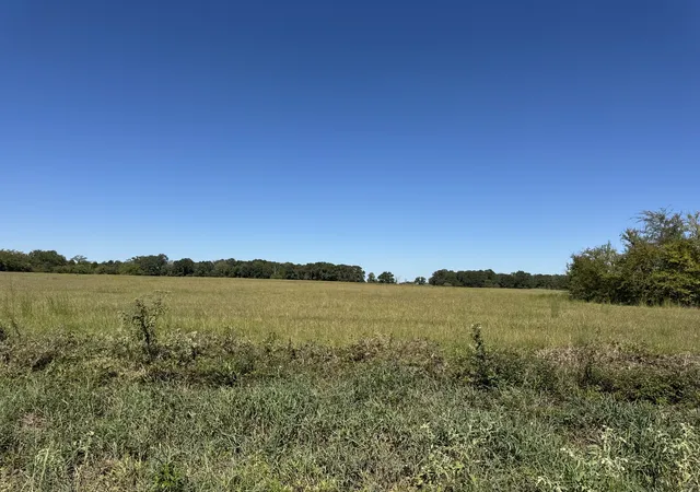 Land for sale at Lot 9 County Rd 2922, Eustace, TX 75124 | MLS# 21405664