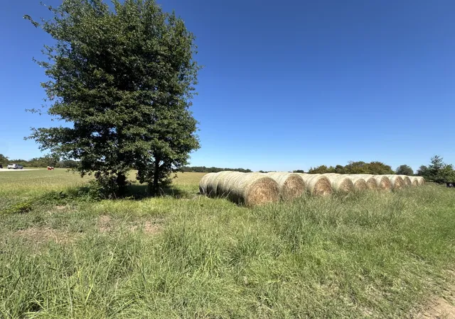 Land for sale at Lot 10 County Rd 2922, Eustace, TX 75124 | MLS# 21405690