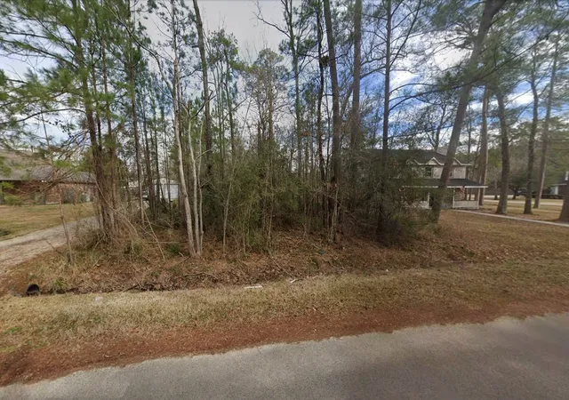 Photo 2 of Land for sale at Tbd Wood Lawn, Sour Lake, TX 77659 | MLS# 21405835 | Listing updated on 2026-10-07