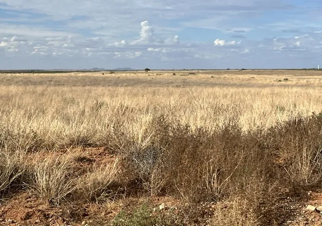 Photo 3 of Land for sale at Tbd County Rd 412, Roby, TX 79543 | MLS# 21405876 | Listing updated on 2026-10-07