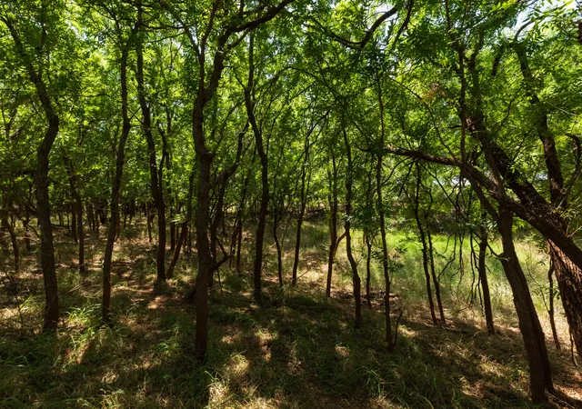 Photo 3 of Land for sale at 9000 Private Rd 496, Hawley, TX 79525 | MLS# 21405995 | Listing updated on 2026-10-08
