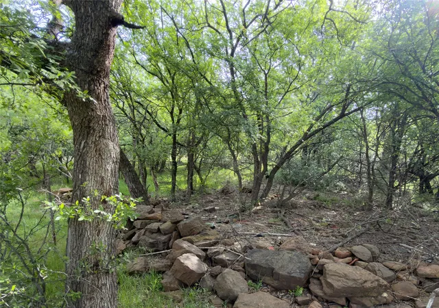 Photo 2 of Land for sale at 00 Ne 9th Avenue, Mineral Wells, TX 76067 | MLS# 21406084 | Listing updated on 2026-10-08