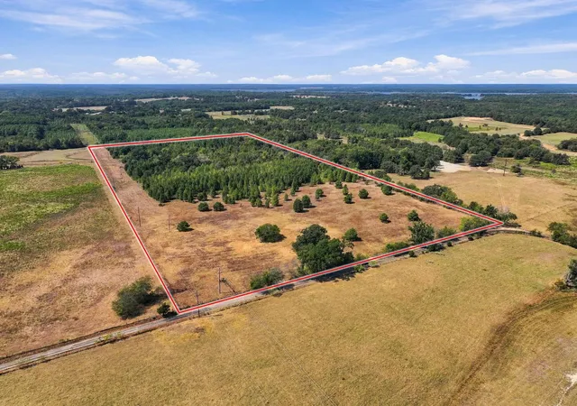 Photo 2 of Land for sale at 4054acres Tbd County Rd 2314, Pittsburg, TX 75686 | MLS# 21406345 | Listing updated on 2026-10-08