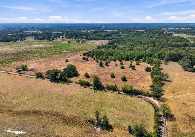Photo 3 of Land for sale at 4054acres Tbd County Rd 2314, Pittsburg, TX 75686 | MLS# 21406345 | Listing updated on 2026-10-08