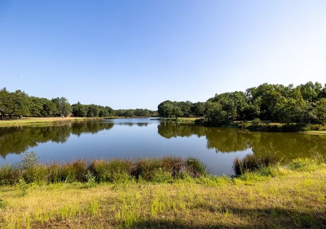 Photo 2 of Land for sale at Tbd Richards Rd, Sadler, TX 76264 | MLS# 21404341 | Listing updated on 2026-10-08