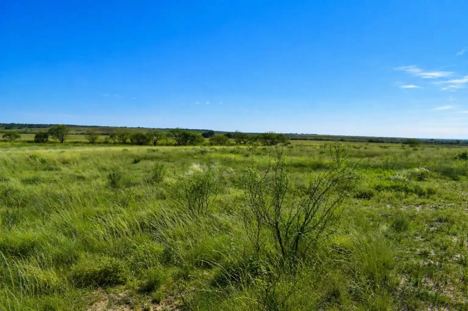 Photo 1 of Sale Pending at 40 A Cr 144, Brady, TX 76858 | MLS# 21407290 | Listing updated on 2026-10-09