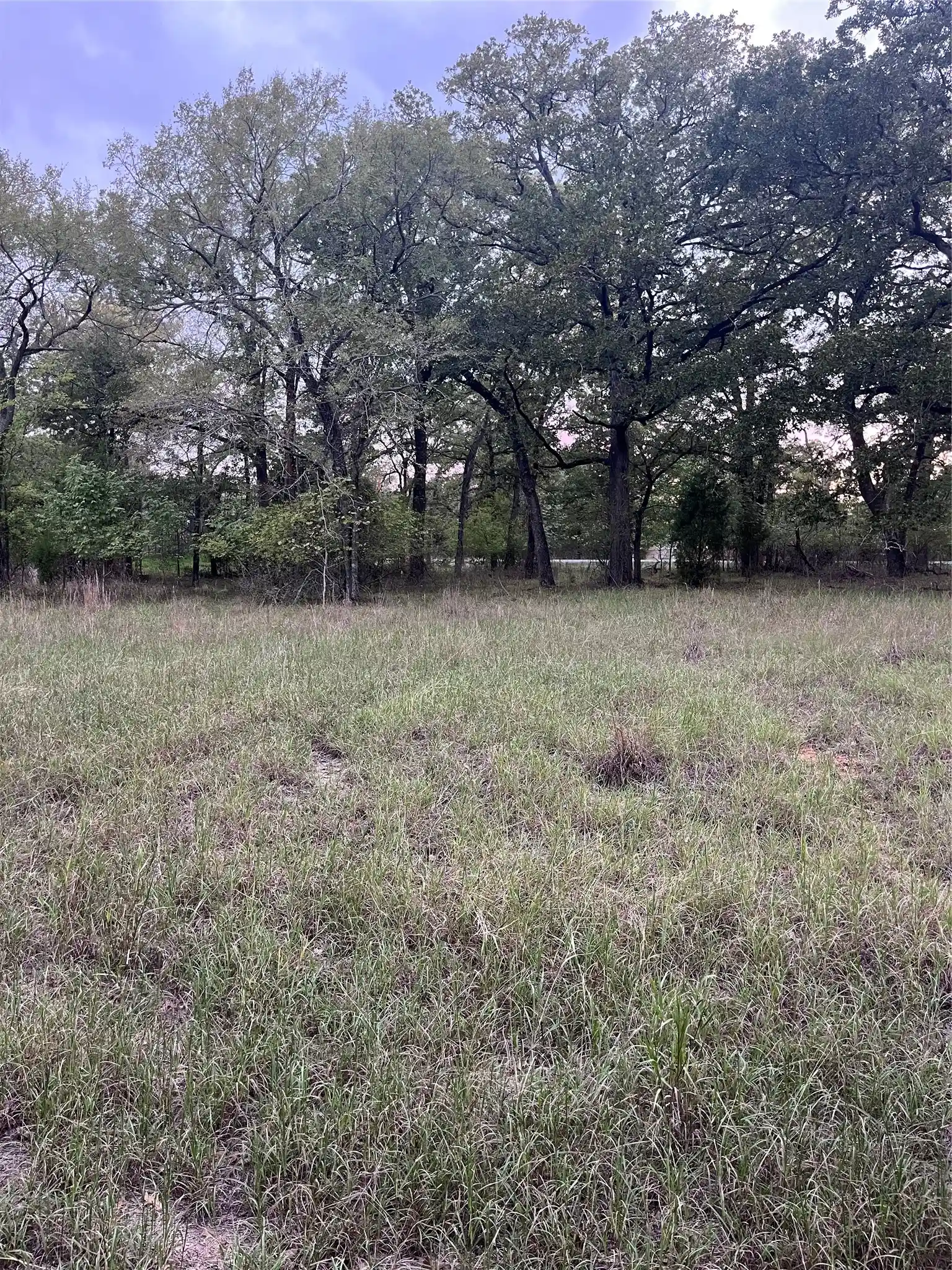 Land for sale at 26 Boca Chica, Malakoff, TX 75148 | MLS# 21404974