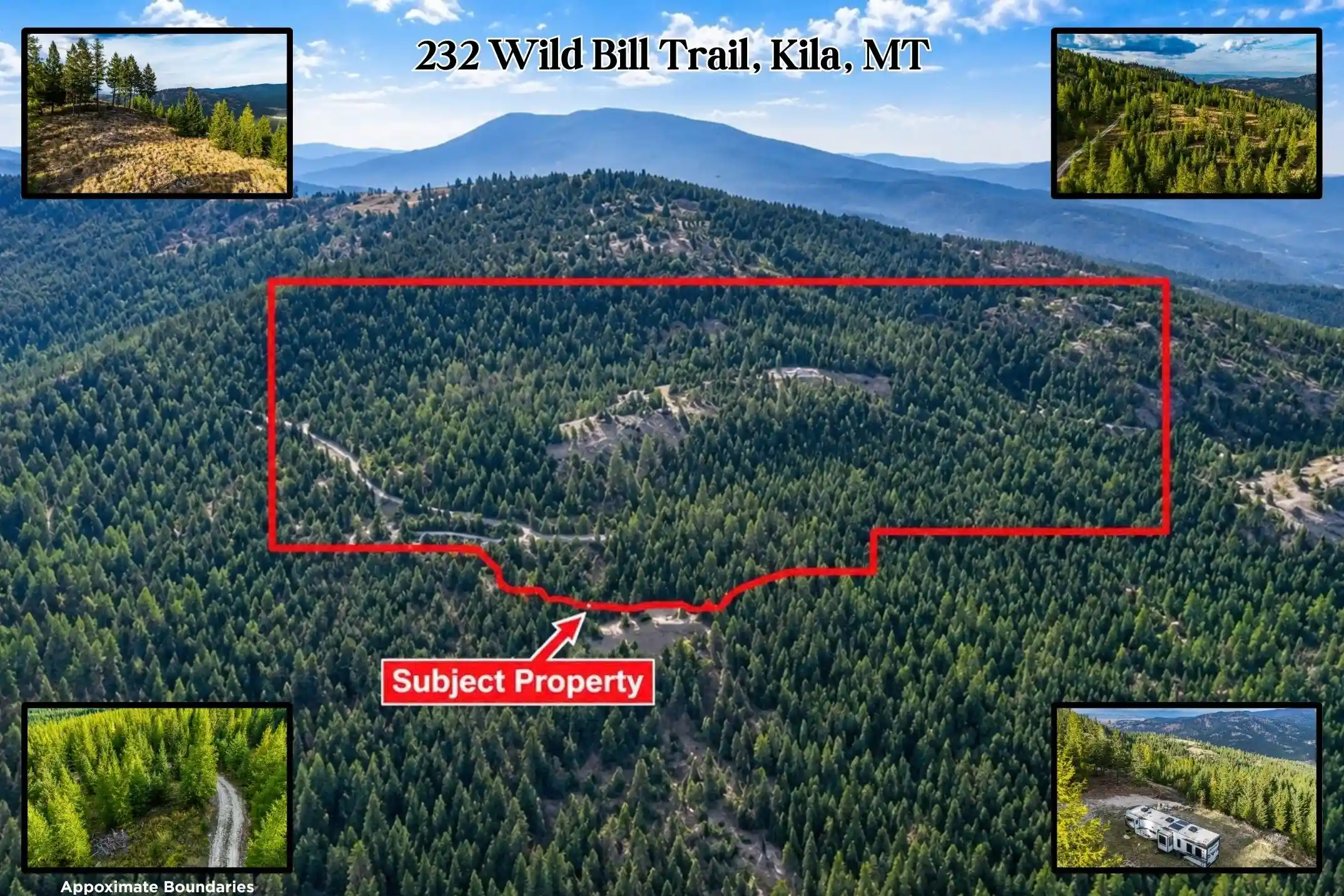 Land for sale at 232 Wild Bill Trl, Kila, MT 59920 | MLS# 21403535