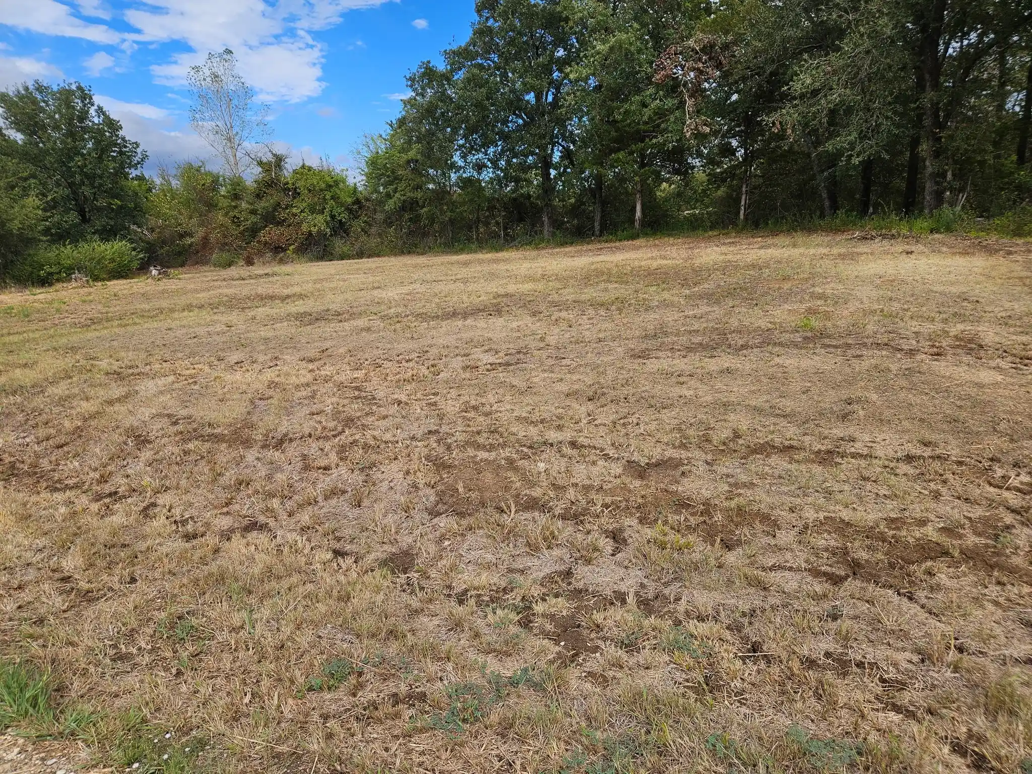 Photo 1 of Land for sale at 32 E Elmwood, Mount Vernon, TX 75457 | MLS# 21408922 | Listing updated on 2026-10-11