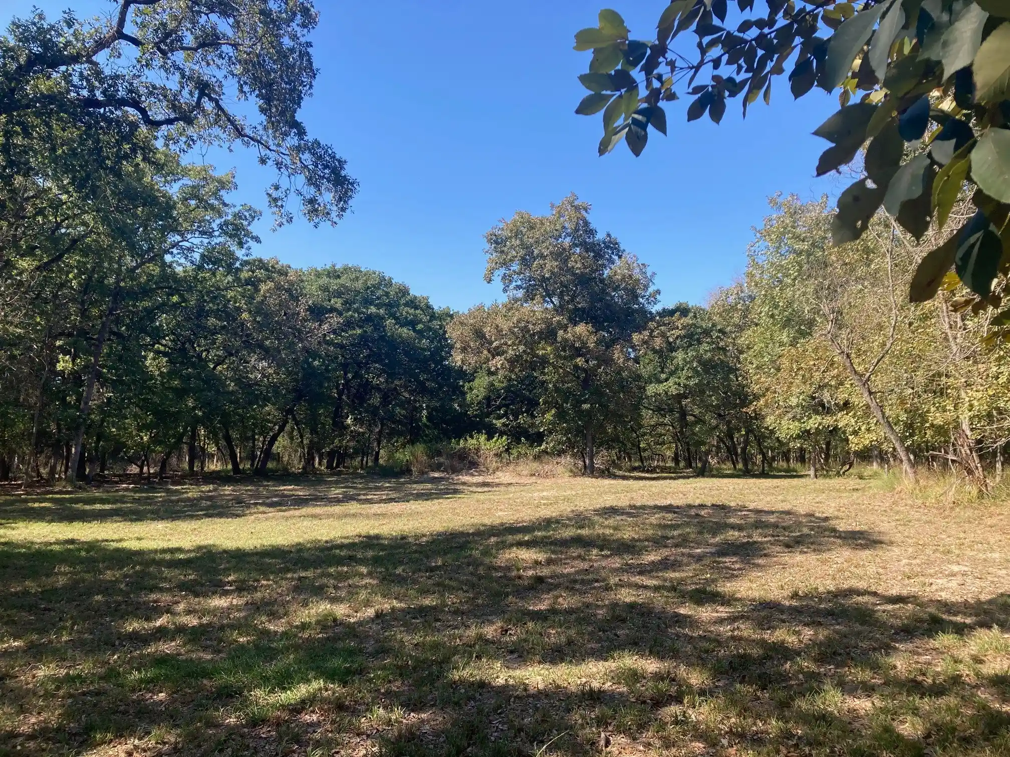 Land for sale at 8840 Timber Ridge, Larue, TX 75770 | MLS# 21408752