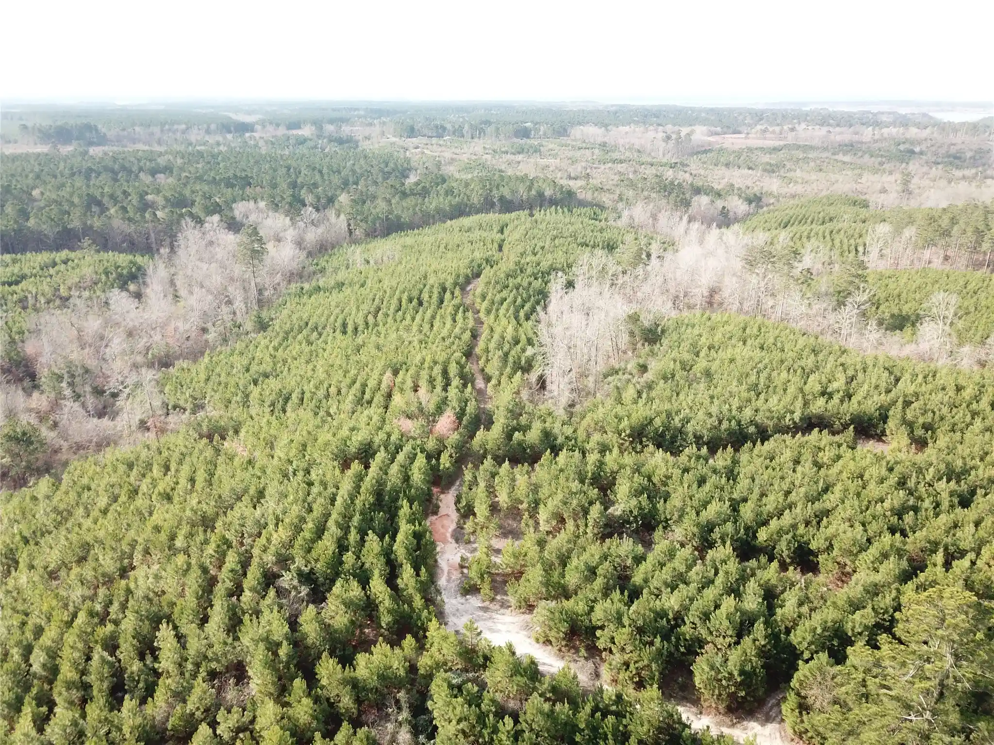 Photo 1 of Land for sale at 00 Off Mcmanus Rd, Zwolle, LA 71486 | MLS# 21409377 | Listing updated on 2026-10-12