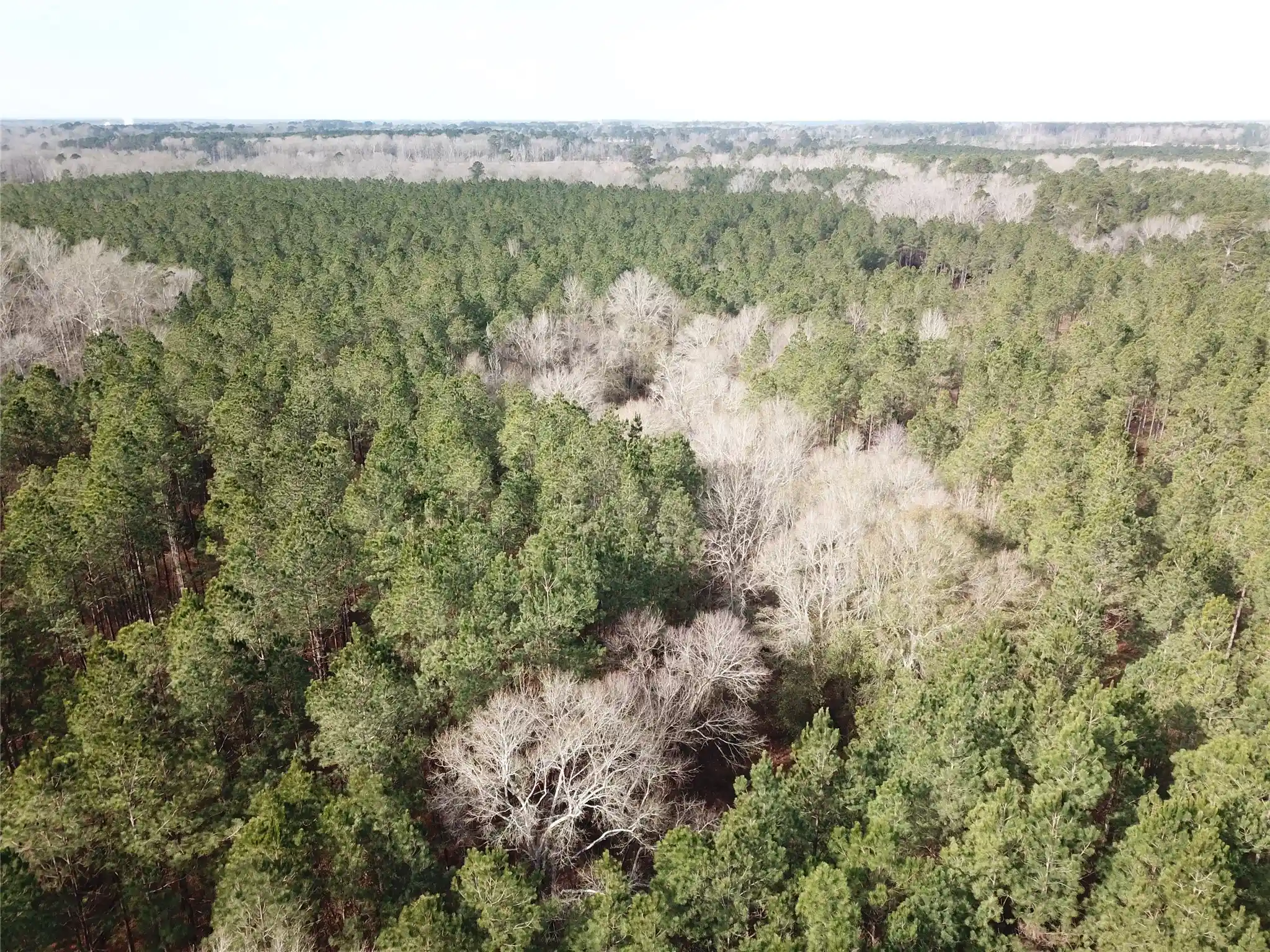 Photo 1 of Land for sale at 00 Off Countree Rd, Zwolle, LA 71486 | MLS# 21409383 | Listing updated on 2026-10-13