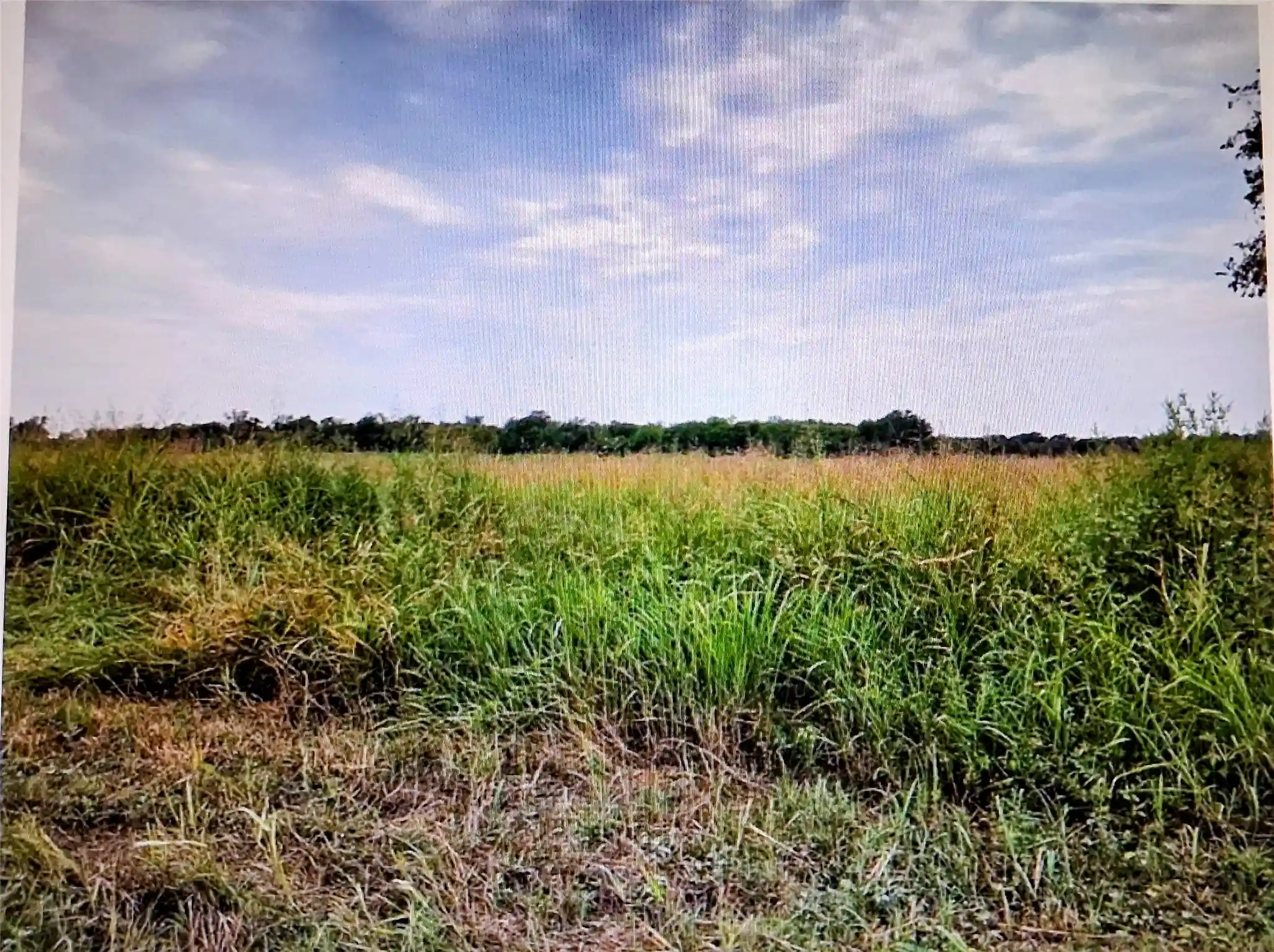 Photo 1 of Land for sale at 3615 County Rd #10 Acres, Honey Grove, TX 75446 | MLS# 21410134 | Listing updated on 2026-10-13