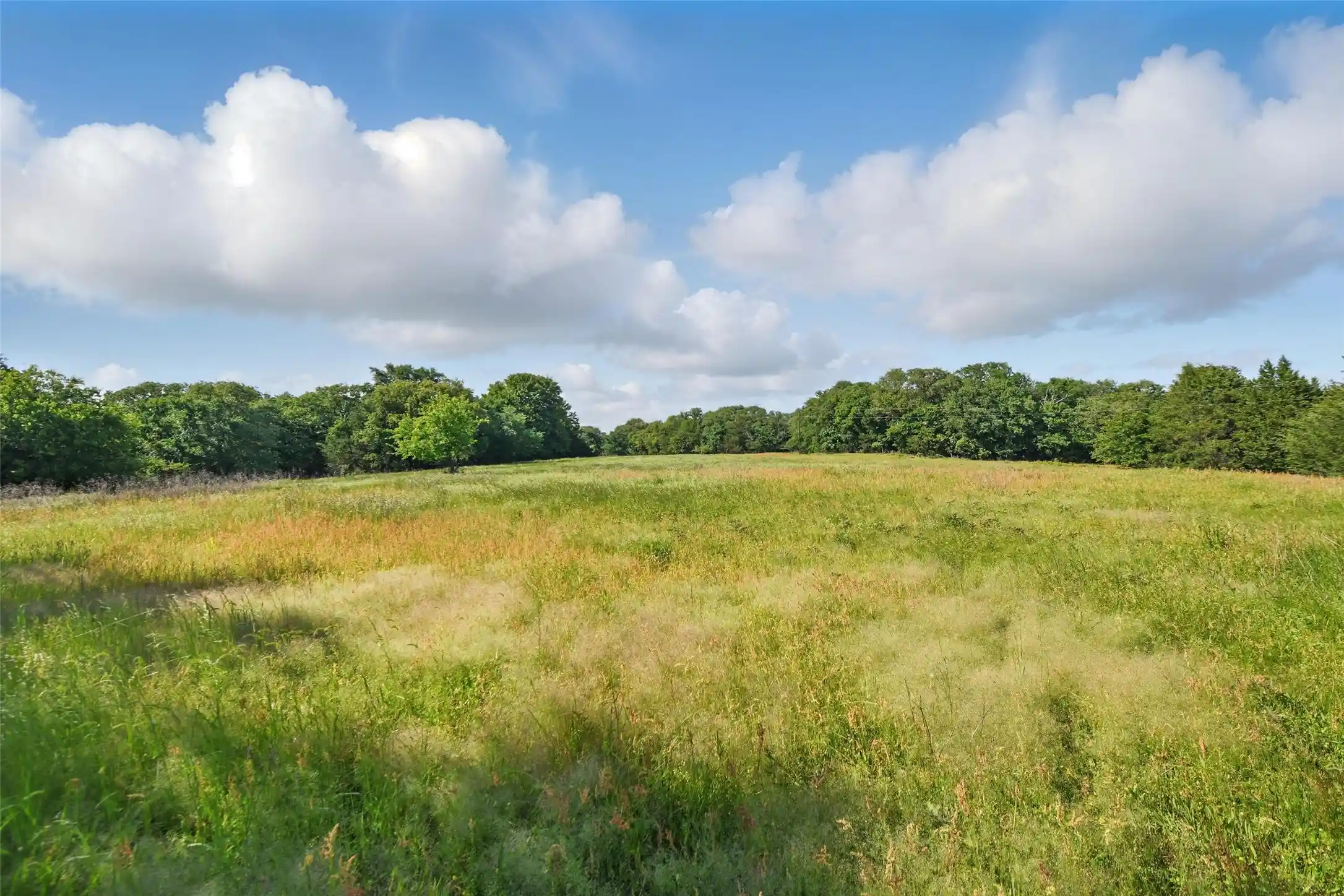 Land for sale at 91 Acres County Rd 189, Gainesville, TX 76240 | MLS# 21410284