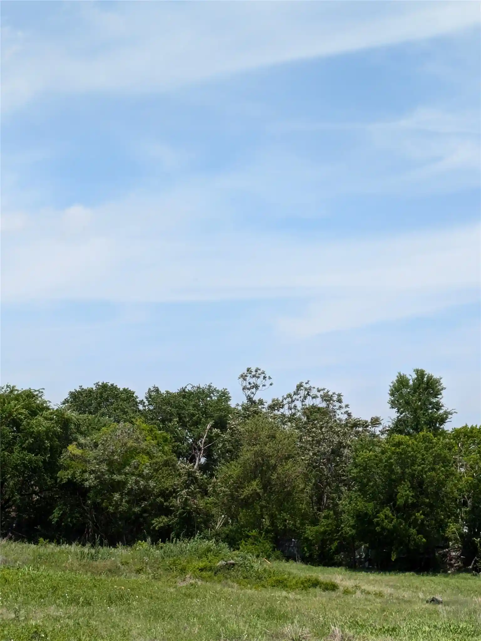 Photo 1 of Land for sale at 2437 Cedar Crst Blvd, Dallas, TX 75203 | MLS# 21411194 | Listing updated on 2026-10-14