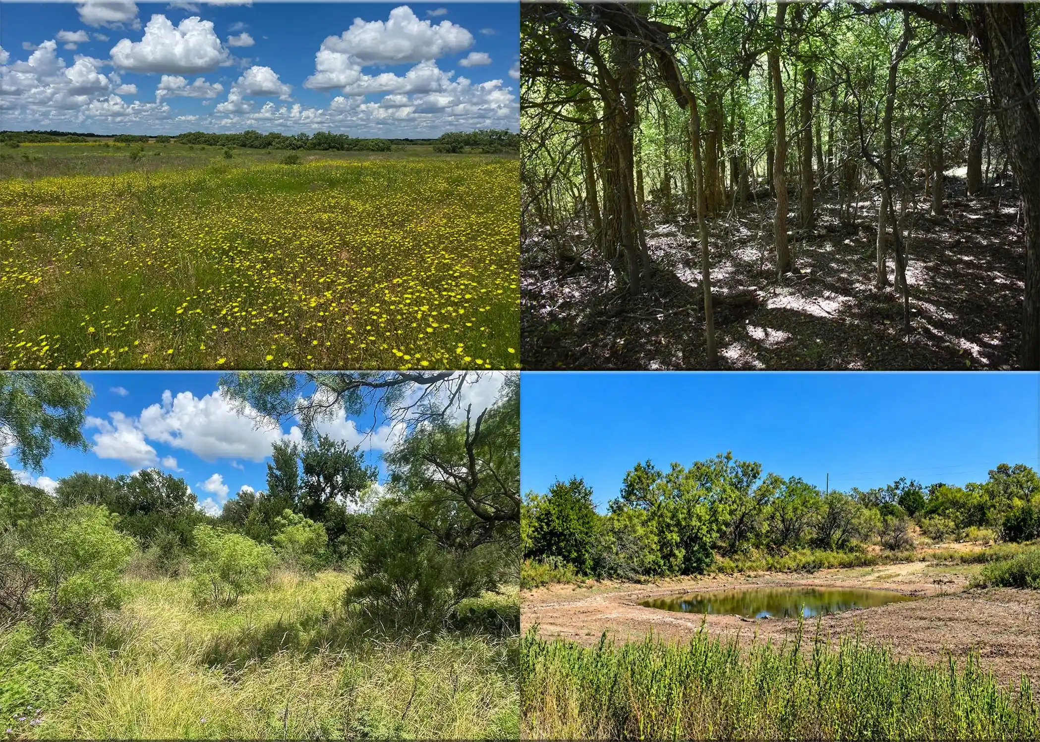 Land for sale at 2035 Cr 448, Rochelle, TX 76872 | MLS# 21411793