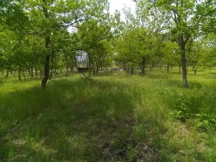 Land for sale at 1209 County Rd 416, Comanche, TX 76442 | MLS# 21414073