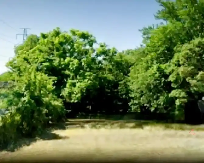 Land for sale at 1410 Church St, Dallas, TX 75203 | MLS# 21414442