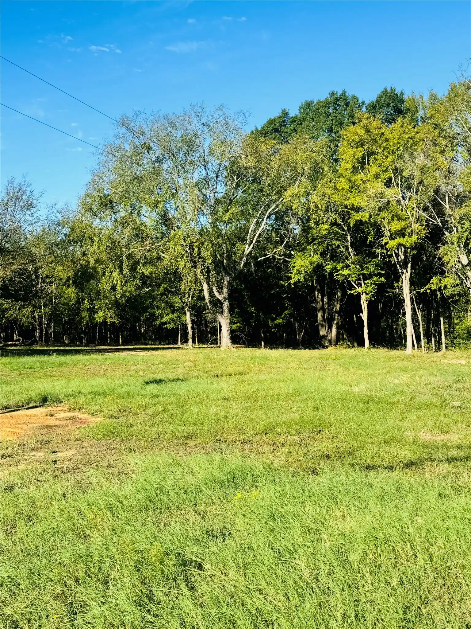 Photo 1 of Single family home for sale at 9250 Fm 59, Athens, TX 75751 | MLS# 21414487 | Listing updated on 2026-10-18
