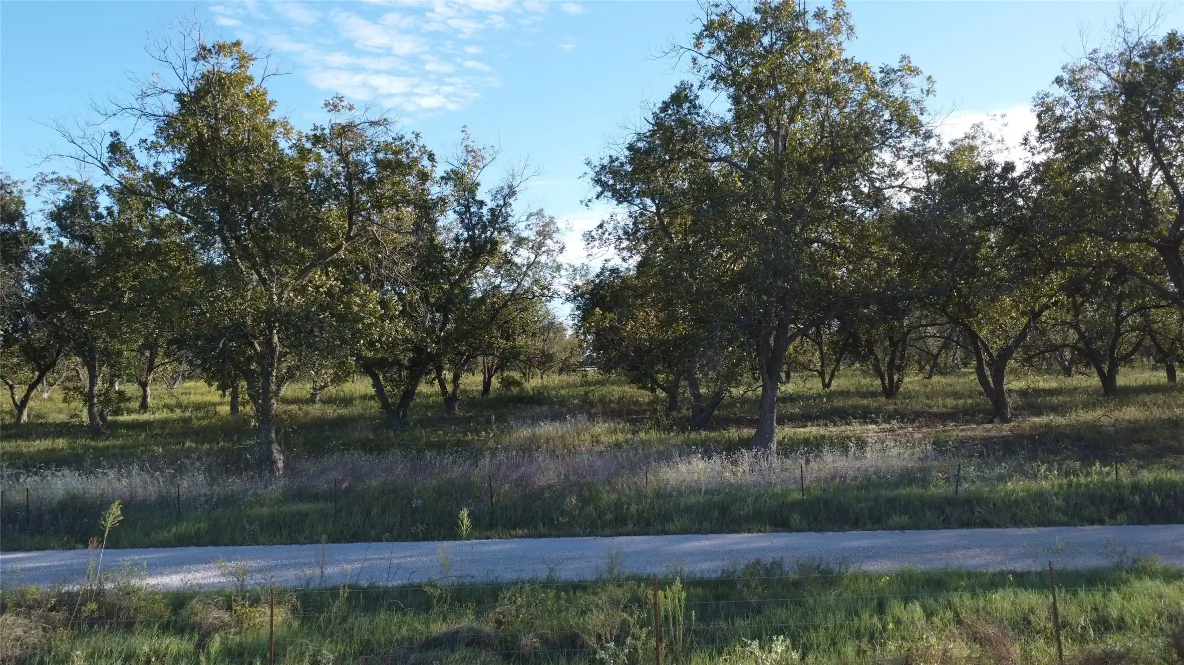 Photo 1 of Land for sale at Lot 4 County Rd 461, De Leon, TX 76444 | MLS# 21414769 | Listing updated on 2026-10-18