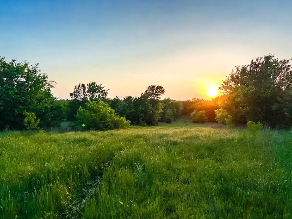 Photo 1 of Land for sale at 0000 County Rd 855, Teague, TX 75860 | MLS# 21415073 | Listing updated on 2026-10-19