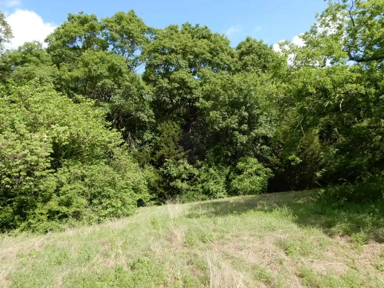 Land for sale at 1415 Day Blvd, Dallas, TX 75203 | MLS# 21417860