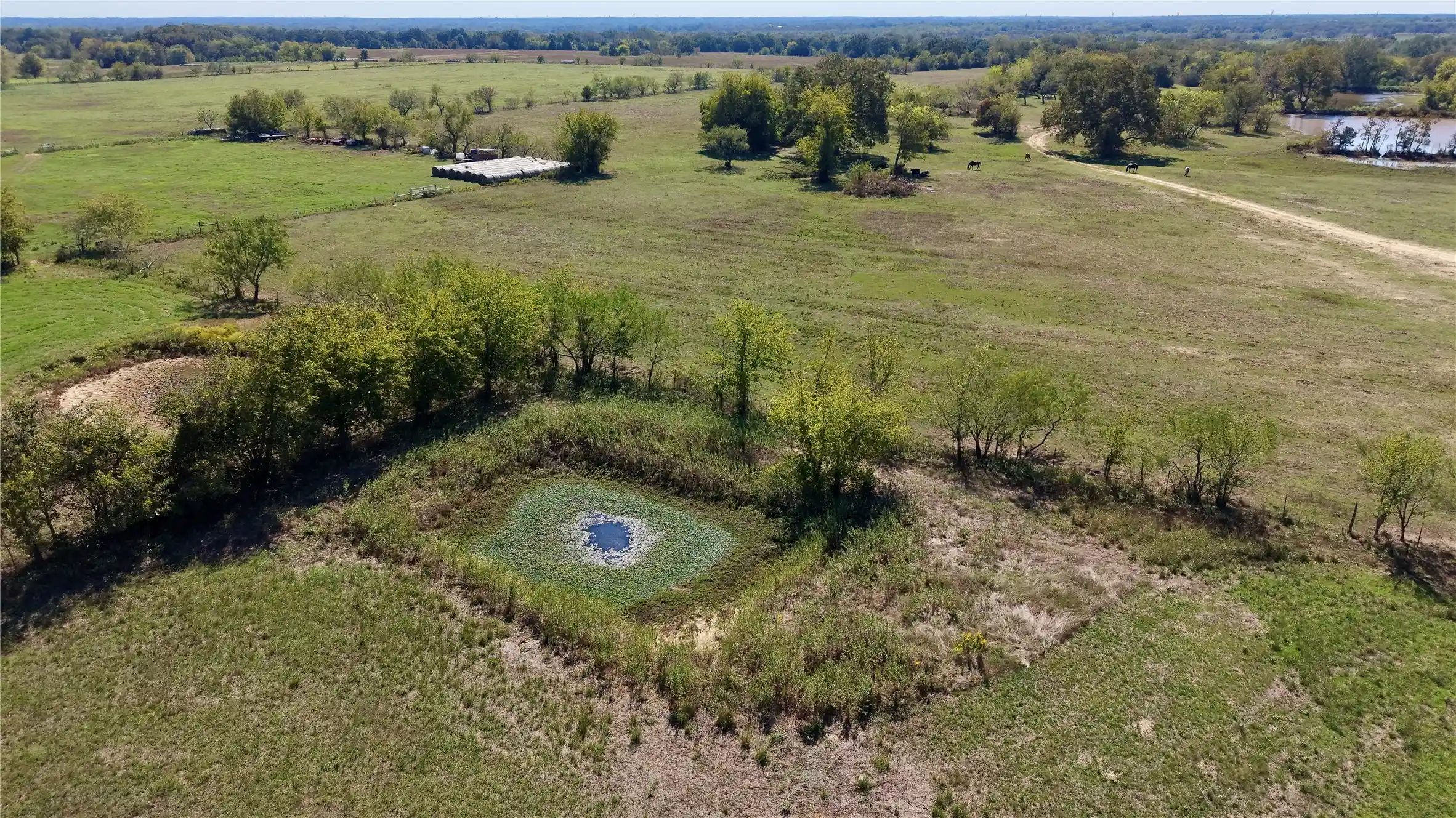 Photo 1 of Land for sale at 156 County Rd 1020, Wortham, TX 76693 | MLS# 21399114 | Listing updated on 2026-10-25