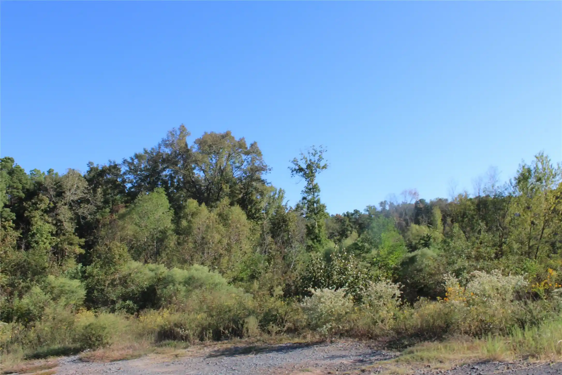 Photo 1 of Land for sale at 0 Foxtrot, Mansfield, LA 71052 | MLS# 21415849 | Listing updated on 2026-10-30