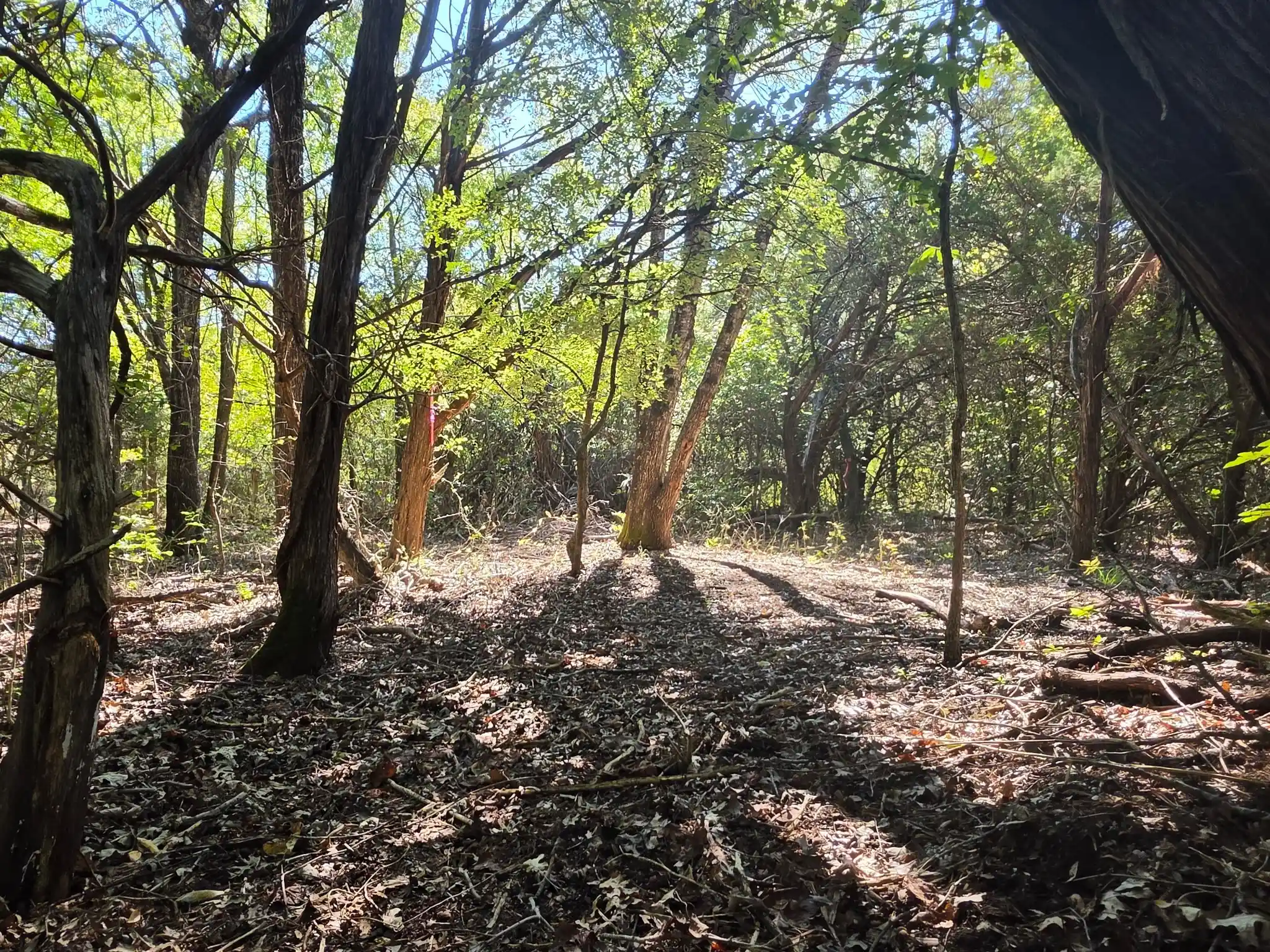 Photo 1 of Land for sale at 8560 Tuscany Hills Ct, Cleburne, TX 76033 | MLS# 21418877 | Listing updated on 2026-10-24