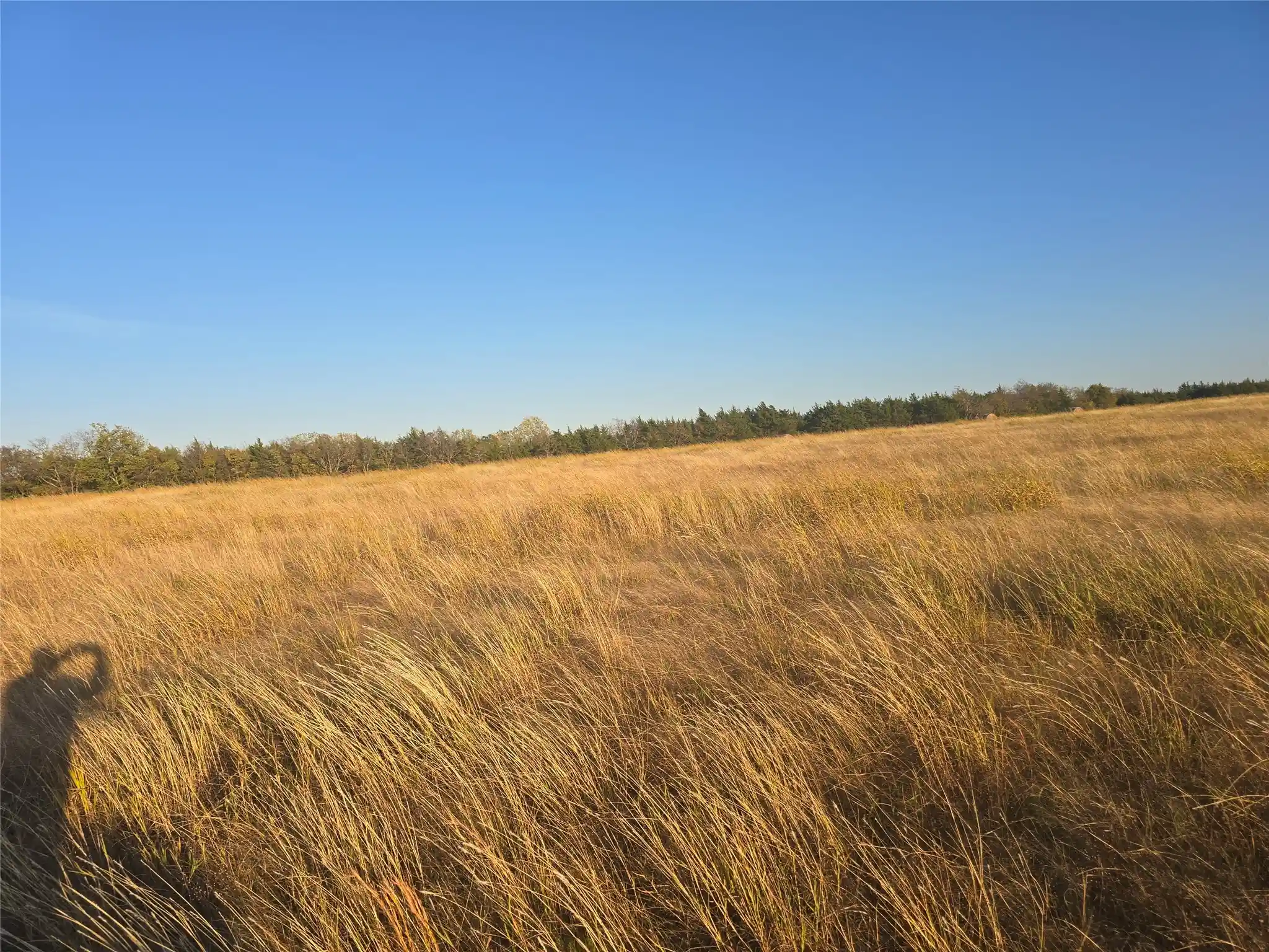 Land for sale at Tbd 14 Acres Tract 4 County Rd 36000, Honey Grove, TX 75446 | MLS# 21421691