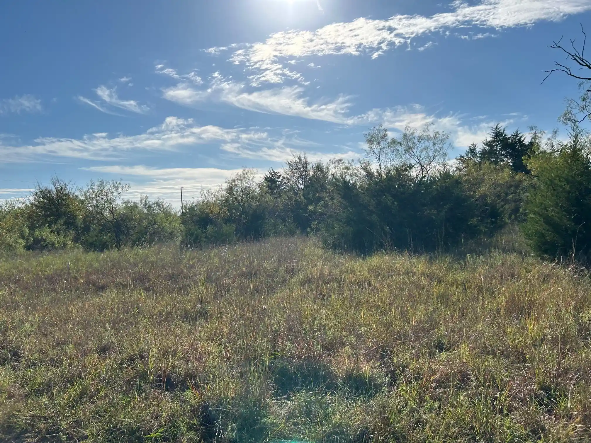 Land for sale at Lot 10 Cedar Prairie, Mildred, TX 75109 | MLS# 21420859