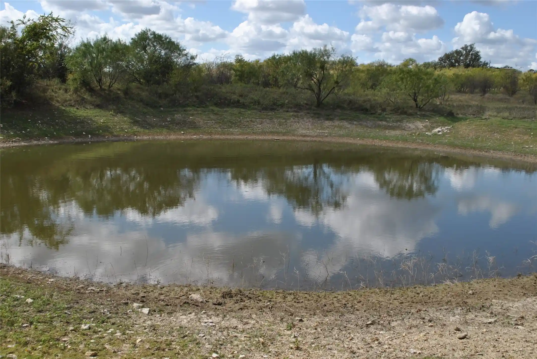 Land for sale at Tbd Fm 1689, Comanche, TX 76442 | MLS# 21422534
