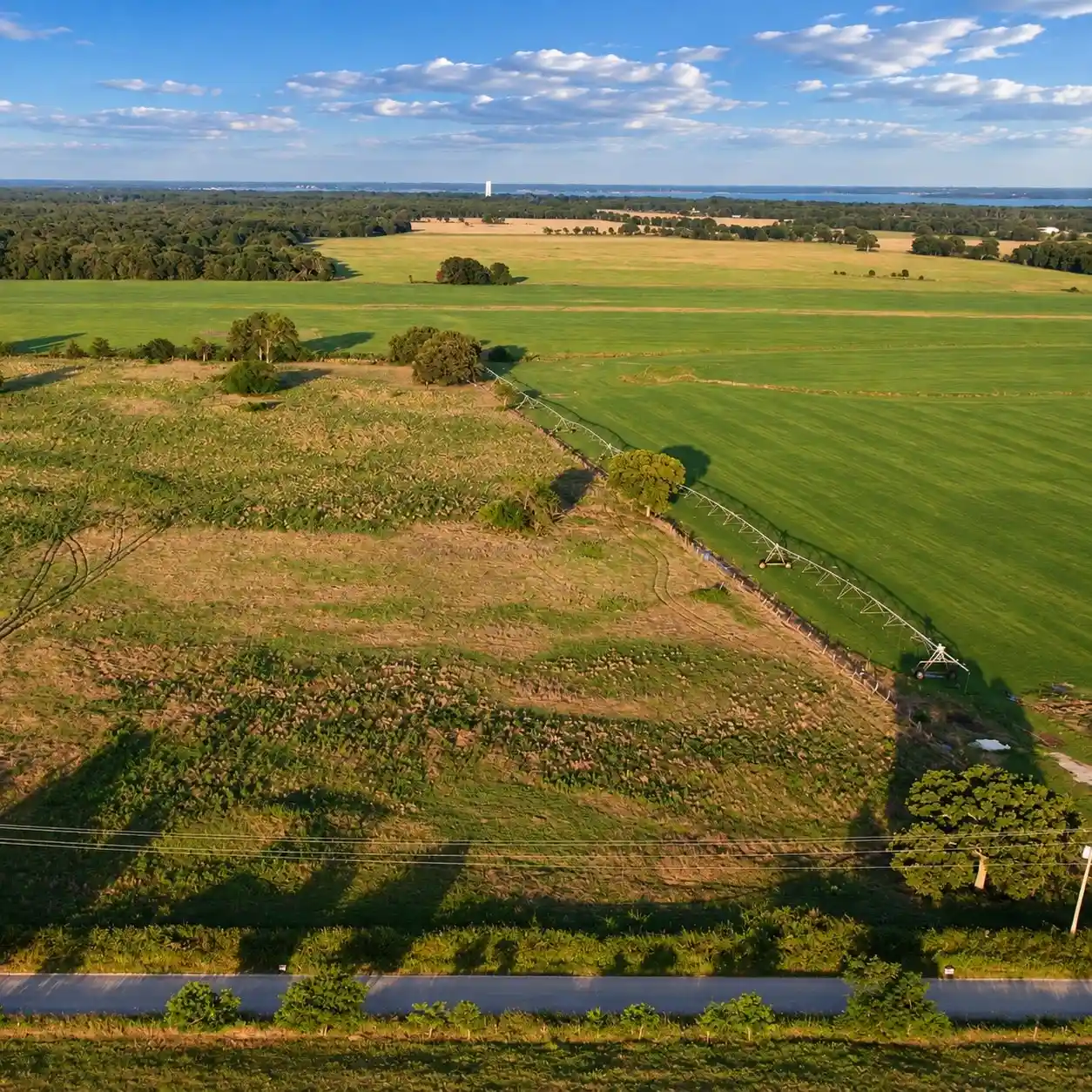 Photo 1 of Land for sale at Lot 1 County Rd 2275, Telephone, TX 75488 | MLS# 21422268 | Listing updated on 2026-10-29