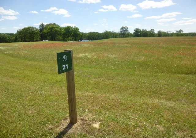 Photo 1 of Land for sale at 0 Caddo Crk Dr, Larue, TX 75770 | MLS# 21420910 | Listing updated on 2026-10-30