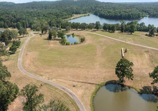 Photo 4 of Land for sale at 0 Caddo Crk Dr, Larue, TX 75770 | MLS# 21420910 | Listing updated on 2026-10-30