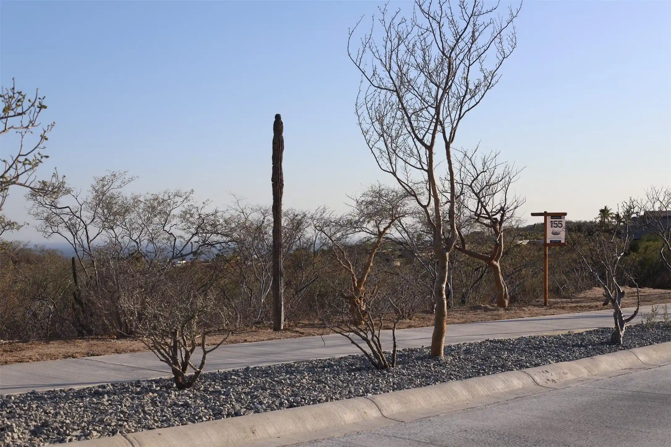 Land for sale at 155 Fundadores, Cabo San Lucas, OS 99999 | MLS# 21423195