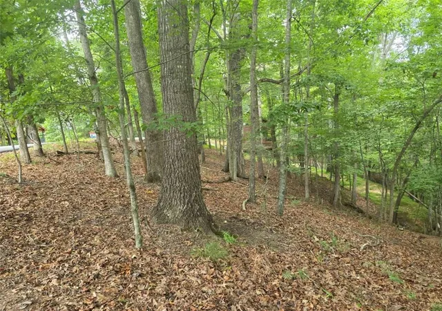 Photo 1 of Land for sale at Lot476 Riverview Dr, Ellijay, GA 30540 | MLS# 7809996 | Listing updated on 2026-07-24