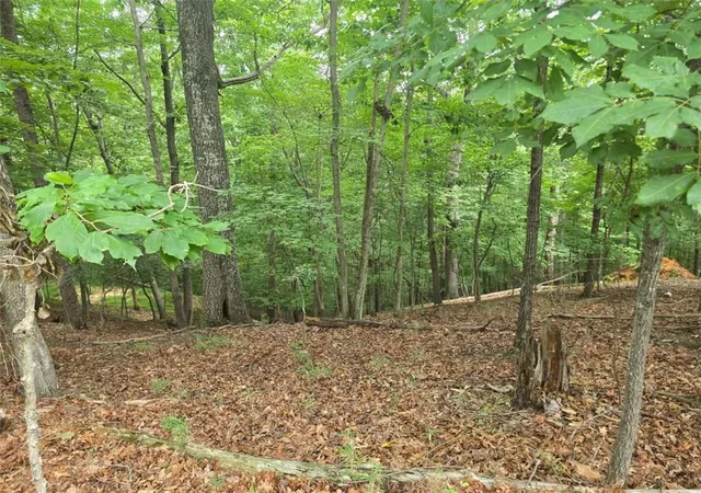 Photo 2 of Land for sale at Lot476 Riverview Dr, Ellijay, GA 30540 | MLS# 7809996 | Listing updated on 2026-07-24