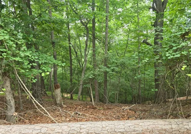 Photo 3 of Land for sale at Lot476 Riverview Dr, Ellijay, GA 30540 | MLS# 7809996 | Listing updated on 2026-07-24