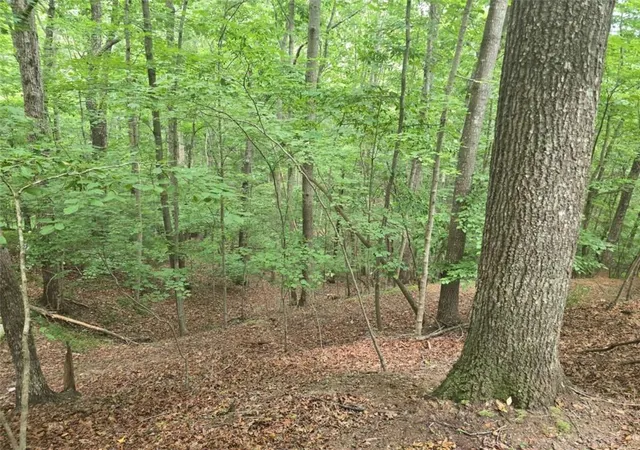Photo 4 of Land for sale at Lot476 Riverview Dr, Ellijay, GA 30540 | MLS# 7809996 | Listing updated on 2026-07-24