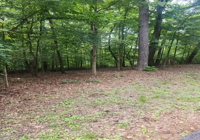 Photo 3 of Land for sale at 111 Maple St, Roswell, GA 30075 | MLS# 7810765 | Listing updated on 2026-08-18