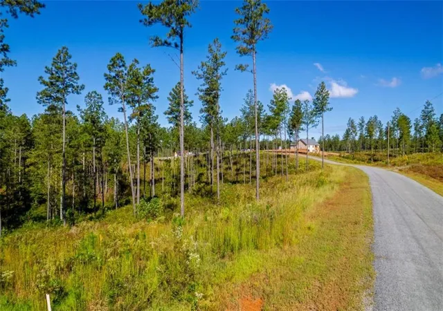 2nd image of Lt 140 River Reach Ln, Talking Rock, GA 30175 | MLS# 7658945