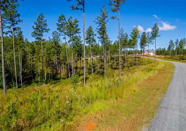 3rd image of Lt 140 River Reach Ln, Talking Rock, GA 30175 | MLS# 7658945