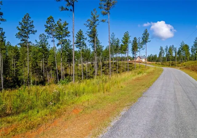 4th image of Lt 140 River Reach Ln, Talking Rock, GA 30175 | MLS# 7658945