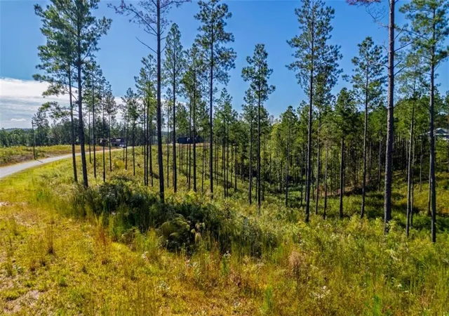 5th image of Lt 140 River Reach Ln, Talking Rock, GA 30175 | MLS# 7658945