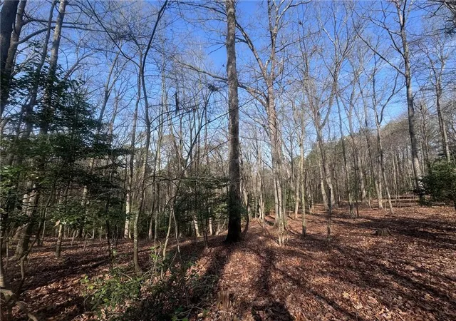 13th image of 0 Bible Baptist Rd, Ellijay, GA 30536 | MLS# 7770247
