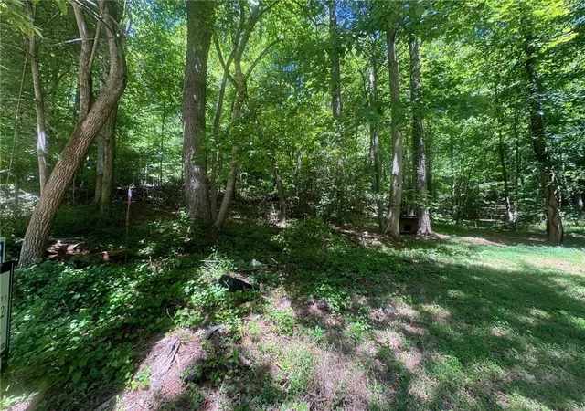 2nd image of 0 Bible Baptist Rd, Ellijay, GA 30536 | MLS# 7770247