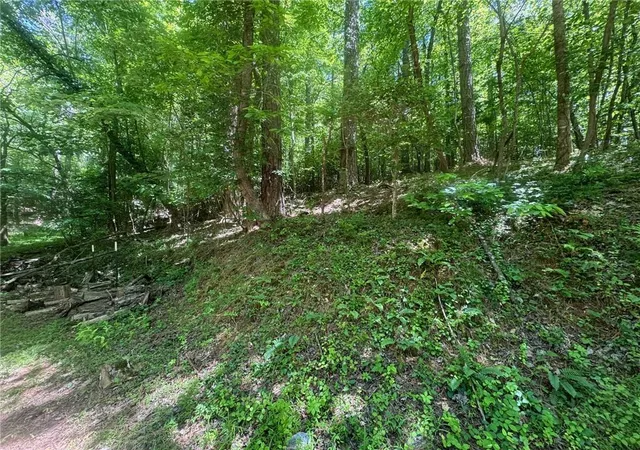 Photo 3 of Land for sale at 0 Bible Baptist Rd, Ellijay, GA 30536 | MLS# 7770247 | Listing updated on 2026-08-18